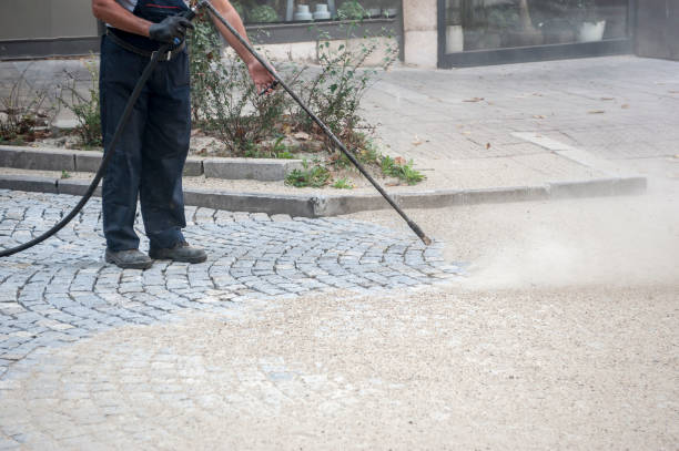 Best Gutter Cleaning  in Murfreesboro, AR